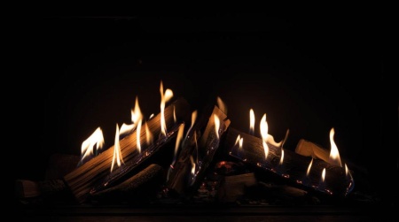 Газовый камин Schmid Lina G 100